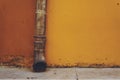 Drain pipe in front of the yellow wall Royalty Free Stock Photo