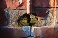 Drain pipe on old brick wall with green mold Royalty Free Stock Photo