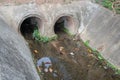 Drain water. Dirty drain and water pollution Royalty Free Stock Photo