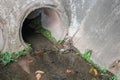 Drain water. Dirty drain and water pollution Royalty Free Stock Photo