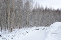 A drainage ditch at the edge of a forest among bare trees covered with snow on a cold winter day Royalty Free Stock Photo
