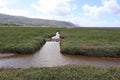 A drainage ditch on Porlock salt marsh on the way back towards Bossington in Somerset, England