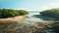 Drained Mangroves: Photorealistic Art Depicting Malaysia\'s Coastal Environmental Activism
