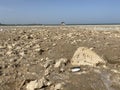 Drained muddy bottom of Tsimlyansk reservoir. A great ebb of sea. The problem of lack of drinking water, death to fish