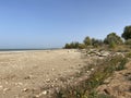 Drained muddy bottom of Tsimlyansk reservoir. A great ebb of sea. The problem of lack of drinking water, death to fish