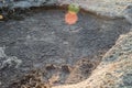 drained pond. Global warming. Changing of the climate