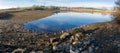 Drained pond in winter