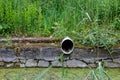 Drainpipe sewer reed bank pond