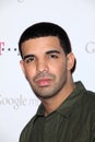 Drake, Royalty Free Stock Photo