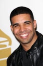 Drake Royalty Free Stock Photo