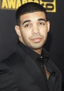 Drake Royalty Free Stock Photo