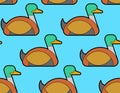 Drake duck pattern seamless. waterfowl bird background. Vector i