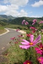 Drakensburg Road