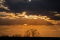 Drama Sunset Sky with Tree in Foreground