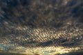 Dramatic Altocumulus Cloud Pattern at Sunset Sky Background Royalty Free Stock Photo