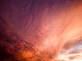 Dramatic Altocumulus Cloudscape at Sunset with Vibrant Red and Magenta Hues Royalty Free Stock Photo