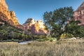 dramatic and amazing rock formations, canyons in Zion national Park in Utah during autumn. Royalty Free Stock Photo