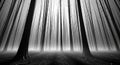 Mysterious Black and White Forest with Misty Light Rays Royalty Free Stock Photo