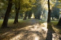 Dramatic autumn park outdoor city square nature environment asphalt road and sun rise rays light thorough trees foliage morning Royalty Free Stock Photo