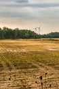 Agricutural field with wind-energy windmills in the background.