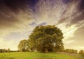 Dramatic autumn sunset above pasture landscape Royalty Free Stock Photo