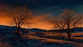 Dramatic autumn winter landscape with bare trees at sunset Royalty Free Stock Photo