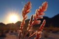 dramatic backlit shot of a blooming ocotillo