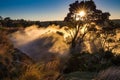 Dramatic backlit shot of steam rising from Steaming bluff overlook in Kilauea crater Royalty Free Stock Photo