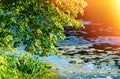 Dramatic bank of park pond landscape