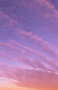 Dramatic beautiful sunrise, sunset pink violet blue sky with clouds background texture Royalty Free Stock Photo