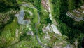 Dramatic birds eye view of the Rice Terraces of the Philippine Cordilleras, banaue Rice Terraces in Banaue, Ifugao.