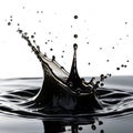 Black liquid splashes isolated on white background Royalty Free Stock Photo