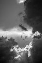 Dramatic black-and-white clouds create a moody and intense vertical scene. Royalty Free Stock Photo