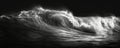 Dramatic black and white image of a powerful wave