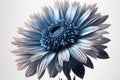 Dramatic Blue Flower Art on White Background for Invitations and Posters.