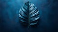 Dramatic blue monstera leaf against a deep textured backdrop displaying elegant simplicity and botanical beauty Royalty Free Stock Photo
