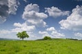 Dramatic Blue Sky Royalty Free Stock Photo