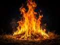 Dramatic Bonfire Flames Against a Striking Black Background A Captivating Image of Intense Real Fire for Design and Royalty Free Stock Photo