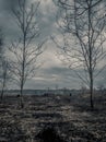 Dramatic Burned field from controlled burn Royalty Free Stock Photo