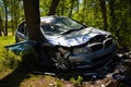 Dramatic Car Crash Scene into a Tree.