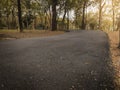 Dramatic cloes up asphalt path way in fall autumn public park with warm light for background , relax or fresh concept vintage tone