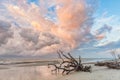 Dramatic Cloud Formations over Driftwood on Folly Beach