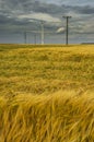 Dramatic cloud sky over cornfield with dark rain clouds and power lines and wind turbines Royalty Free Stock Photo