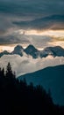 Dramatic clouds frame mountain peaks and towering trees in silhouette