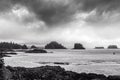 Dramatic clouds on Wild Pacific Trail in Ucluelet, Vancouver Island, British Columbia Canada Royalty Free Stock Photo