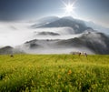 Dramatic cloudsand Daylily flower Royalty Free Stock Photo