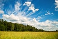 Dramatic cloudscape Royalty Free Stock Photo