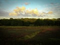 Dramatic cloudscape over the cranberry bog in autumn on turquoise colored sky backgrounds on Cape Cod Royalty Free Stock Photo