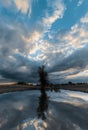 Dramatic cloudy sunset with lonely tree mirrored in water surface of a pond.