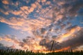 Dramatic Cloudy Sunset over Green Wheat Fields Royalty Free Stock Photo